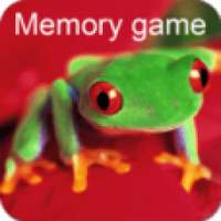 Красочные Memory Frogs игры