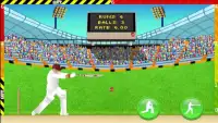 Defend the Wicket - Cricket Screen Shot 1