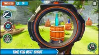 Sniper 3D Bottle Shoot Game Screen Shot 2