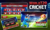 World T20 Cricket 2016 Screen Shot 9