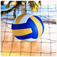 Volleyball Mobile Beach Game