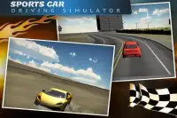Sports Car Driving Simulator Screen Shot 11
