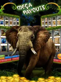 Wild Jungle Slots – Slot Fever Screen Shot 2