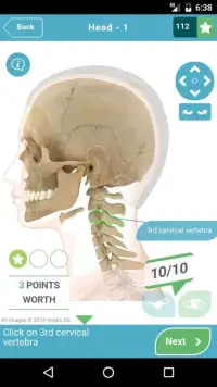 3D Anatomy Quiz Screen Shot 21