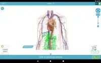 3D Anatomy Quiz Screen Shot 10