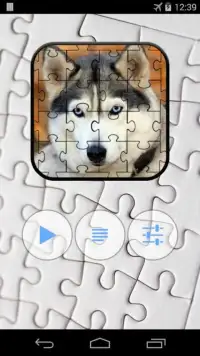 Husky Jigsaw Puzzle Screen Shot 6