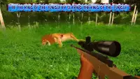 Angry Lion Hunting Season 2017 Screen Shot 4
