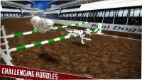 Real Dog Racing Screen Shot 34
