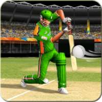 Pak vs Aus Cricket Game Live