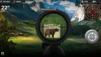 Black Bear Target Shooting Screen Shot 3