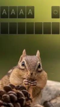 Solitaire Cute Squirrel Theme Screen Shot 2
