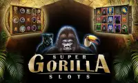 Slots Super Gorilla Free Slots Screen Shot 14