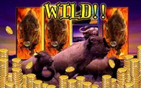Wild Buffalo - Vegas Jackpot Screen Shot 1