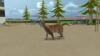 Cat Simulator 2017 Screen Shot 0