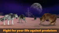 Dingo Dog Survival Simulator Screen Shot 2