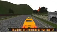 Mad Taxi Driving Simulator 3D Screen Shot 3
