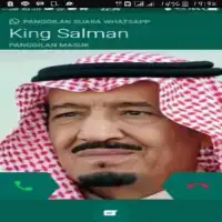 Petualangan Raja Salman games Screen Shot 0