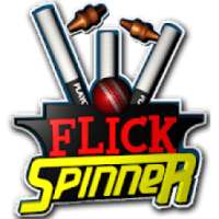 Flick Spinner Cricket 3D