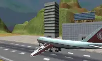 3D Airplane Flight Sim Screen Shot 1