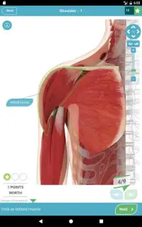 3D Anatomy Quiz Screen Shot 4