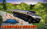 Offroad Hill Limo Driving 3D Screen Shot 7