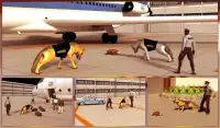 Airport Police Dog Duty Sim Screen Shot 0