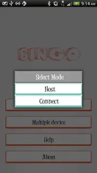Desi Bingo - MultiPlayer Game Screen Shot 3