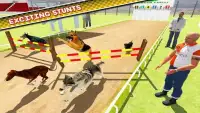 Dog Training Jump & Stunt Sim Screen Shot 15