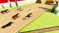 Dog Training Jump & Stunt Sim Screen Shot 16