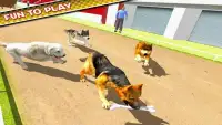 Dog Training Jump & Stunt Sim Screen Shot 1