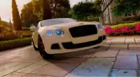 гоночных автомобилей 3D Screen Shot 6