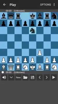 Random Chess (960) Screen Shot 3