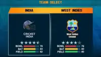 IND vs WI 2017 Cricket Game Screen Shot 8