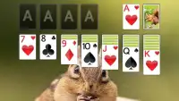Solitaire Cute Squirrel Theme Screen Shot 1