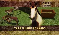 Horse simulator 3D - Free Ride Screen Shot 12
