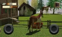 Horse simulator 3D - Free Ride Screen Shot 9