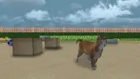 Cat Simulator 2017 Screen Shot 3