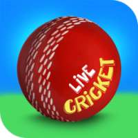 Live IPL Cricket