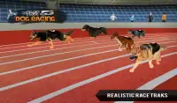Fast Dog Racing 3D Screen Shot 1
