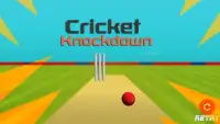 Cricket Knockdown Fever Screen Shot 1