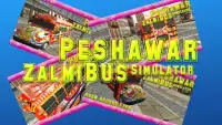 Peshawar Zalmi Bus Simulator Screen Shot 0