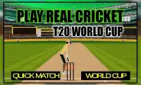 Let's Play Cricket Screen Shot 4