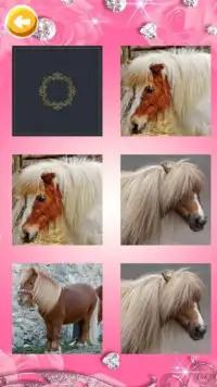 My Little Pony Memory Game Screen Shot 1