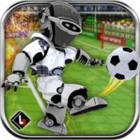 Indoor Robot Soccer Game 2017