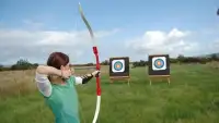 Archery Champion Game Screen Shot 2