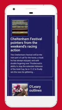 Cheltenham Races Sky Updates Screen Shot 0