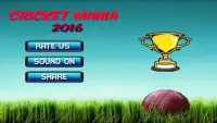 Cricket Mania 2017 Screen Shot 3