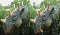 Dinosaur Games-Dino Difference Screen Shot 0