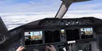 Flying Simulator 3D Screen Shot 1