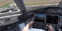 Flying Simulator 3D Screen Shot 0
